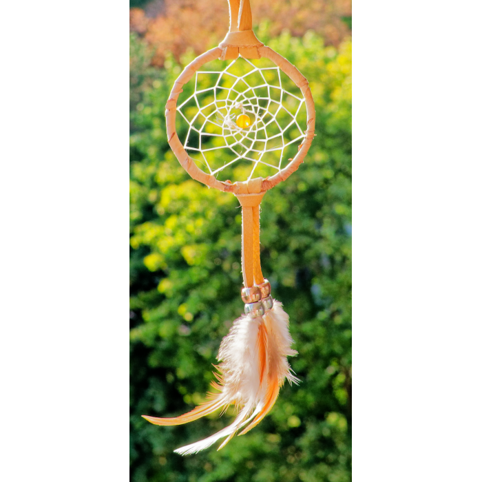 JFY - 2.5 Inch Hoop Peach Central - Birch Wrapped Dreamcatcher