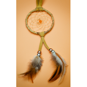 JFY - 2.5 Inch Hoop Peach Central - Birch Wrapped Dreamcatcher