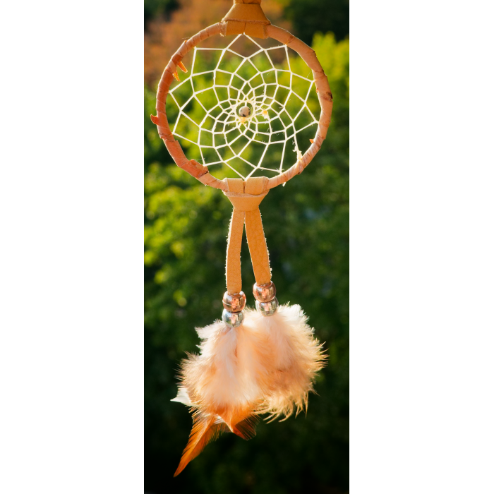 JFY - 2.5 Inch Hoop Jasper Central - Birch Wrapped Dreamcatcher