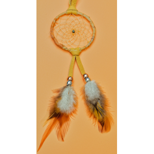 JFY - 2.5 Inch Hoop Jasper Central - Birch Wrapped Dreamcatcher