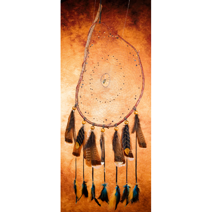 Huge Branch Dreamcatcher, with a Labradorite gemstone Spider