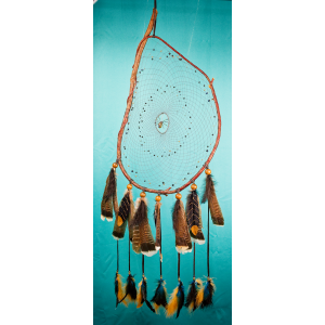 Huge Branch Dreamcatcher, with a Labradorite gemstone Spider