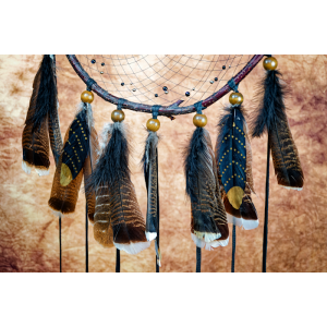 Huge Branch Dreamcatcher, with a Labradorite gemstone Spider