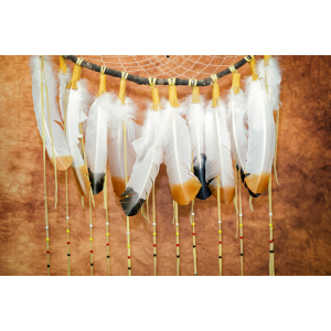 One-Of-A-Kind Dream Catcher Extra Large, approx 5 foot long, Medicine wheel, wolf center