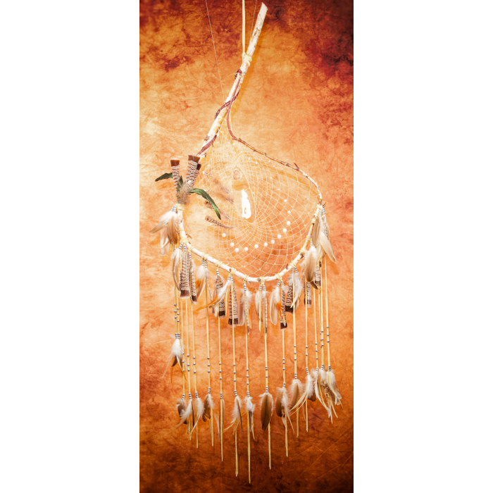 One-of-a-kind Large branch Dream catcher with owl and wild geese feathers, bone wolf howling at moon