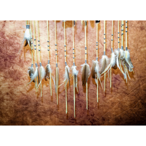 One-of-a-kind Large branch Dream catcher with owl and wild geese feathers, bone wolf howling at moon
