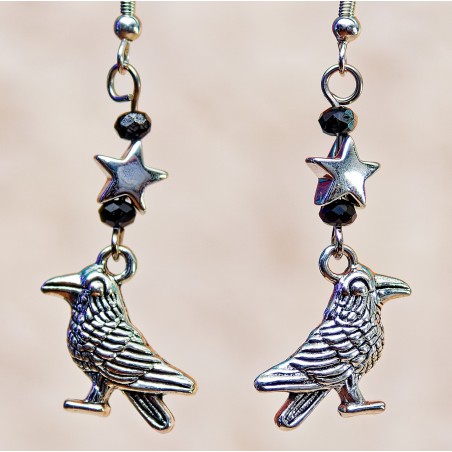 Item 235: Earrings, Raven and Hematite Star